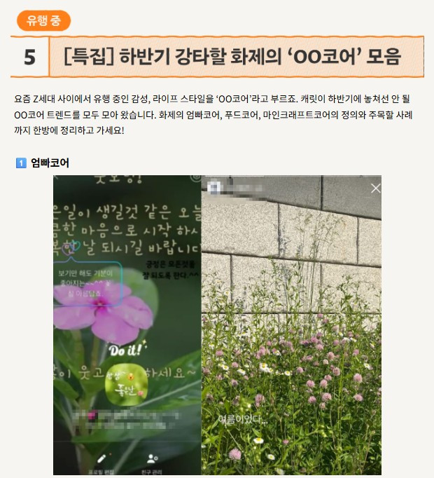 화면 캡처 2025-07-13 121101.jpg