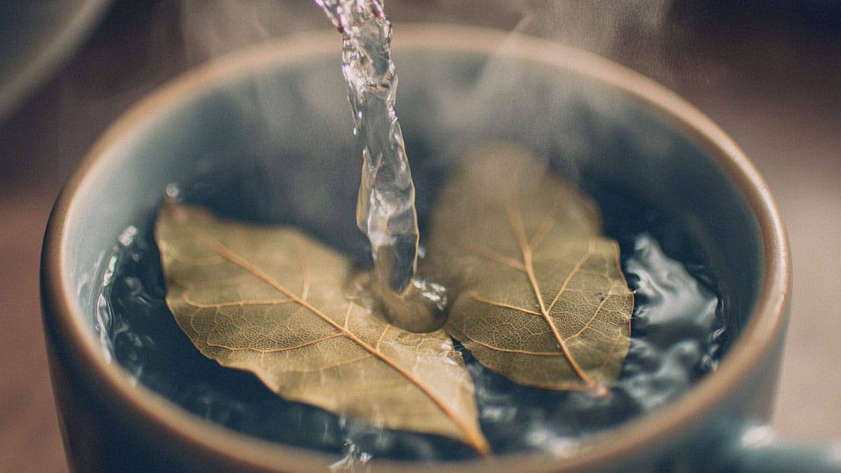 bay-leaf-tea4.jpg