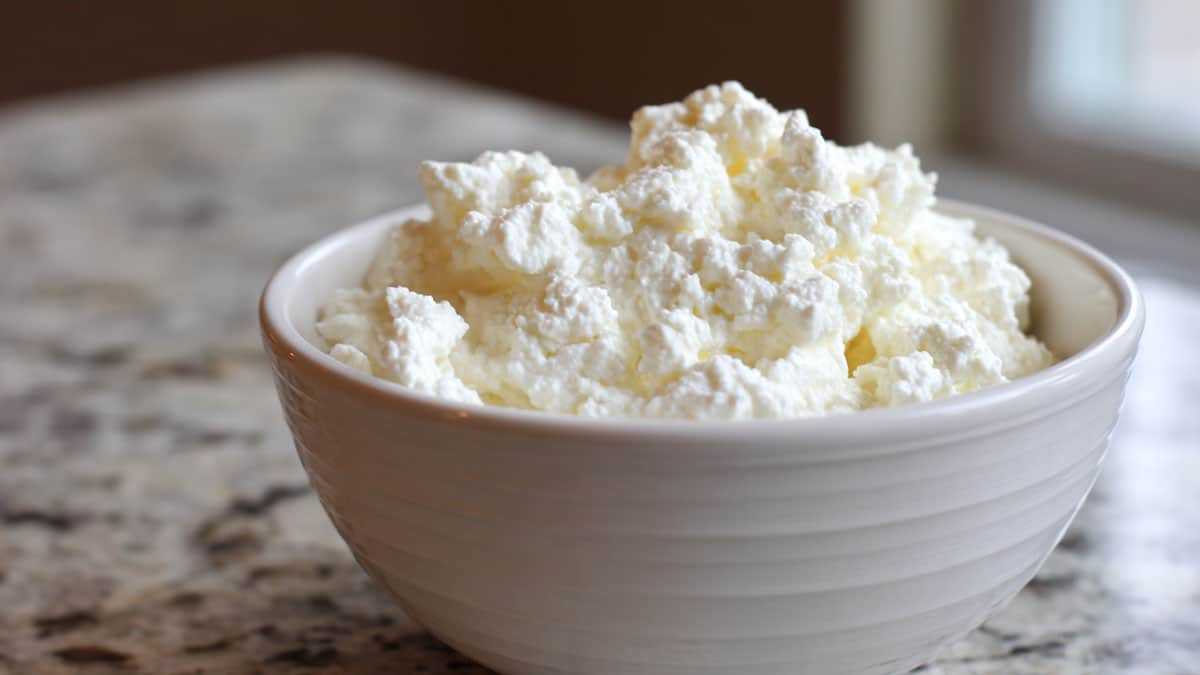 cottage-cheese1.jpg