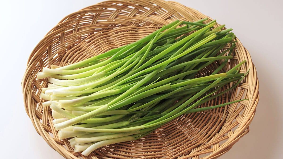 green-onion4.jpg