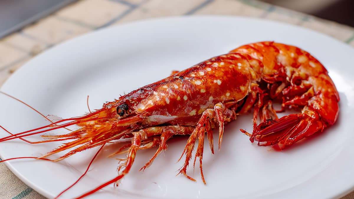 carabineros-shrimp3.jpg