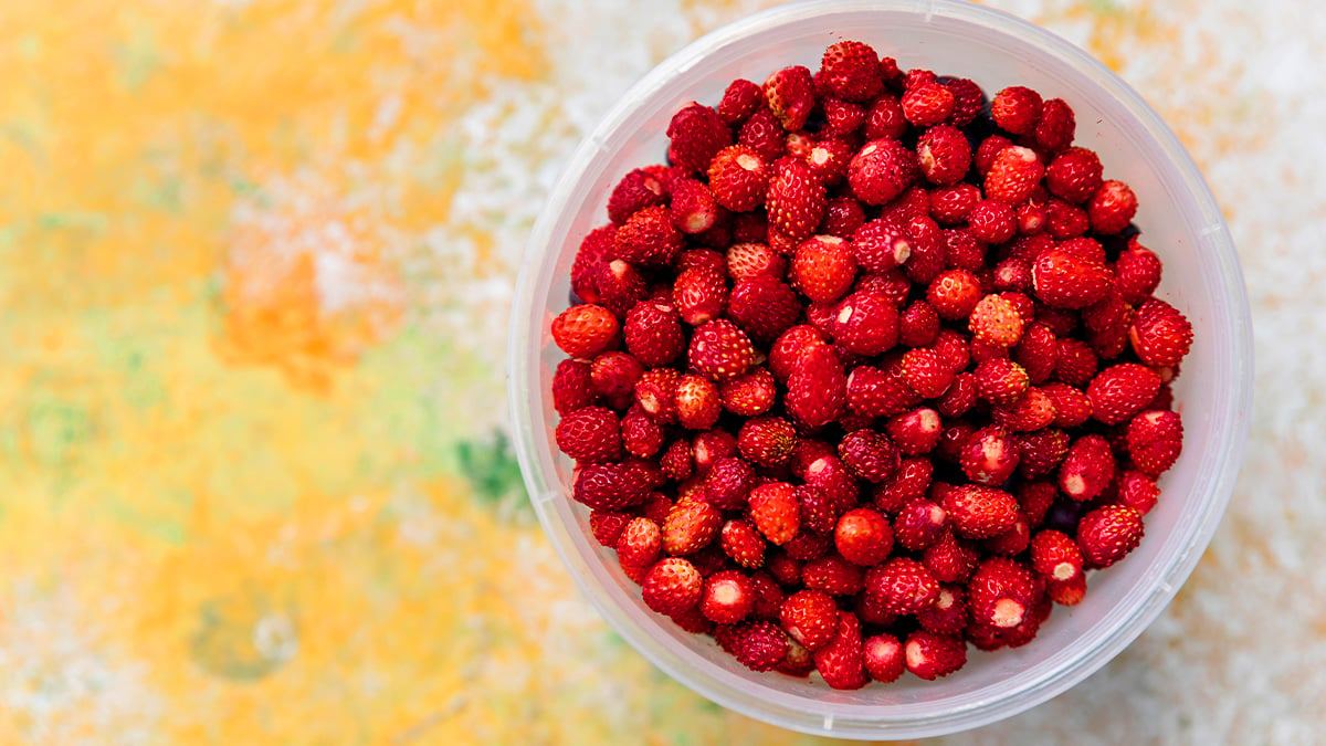 Raspberry-Benefits6.jpg