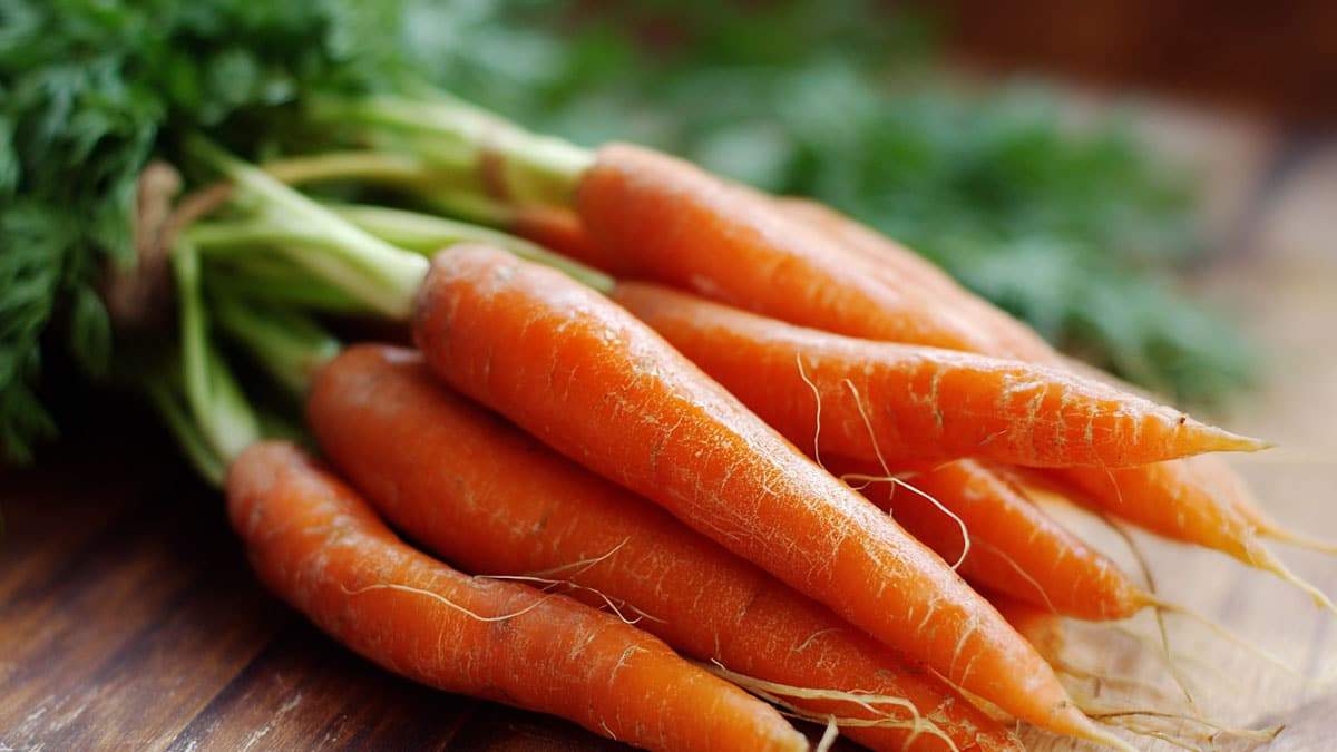 carrots-beta-carotene1.jpg