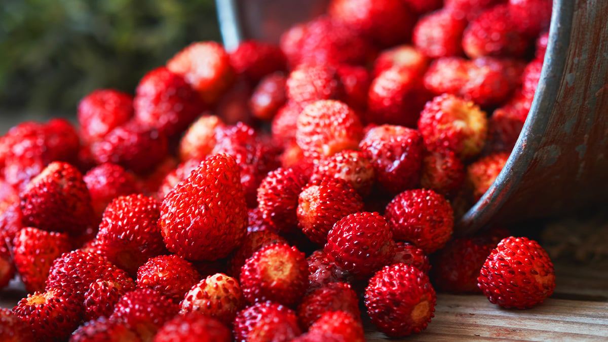 Raspberry-Benefits1.jpg
