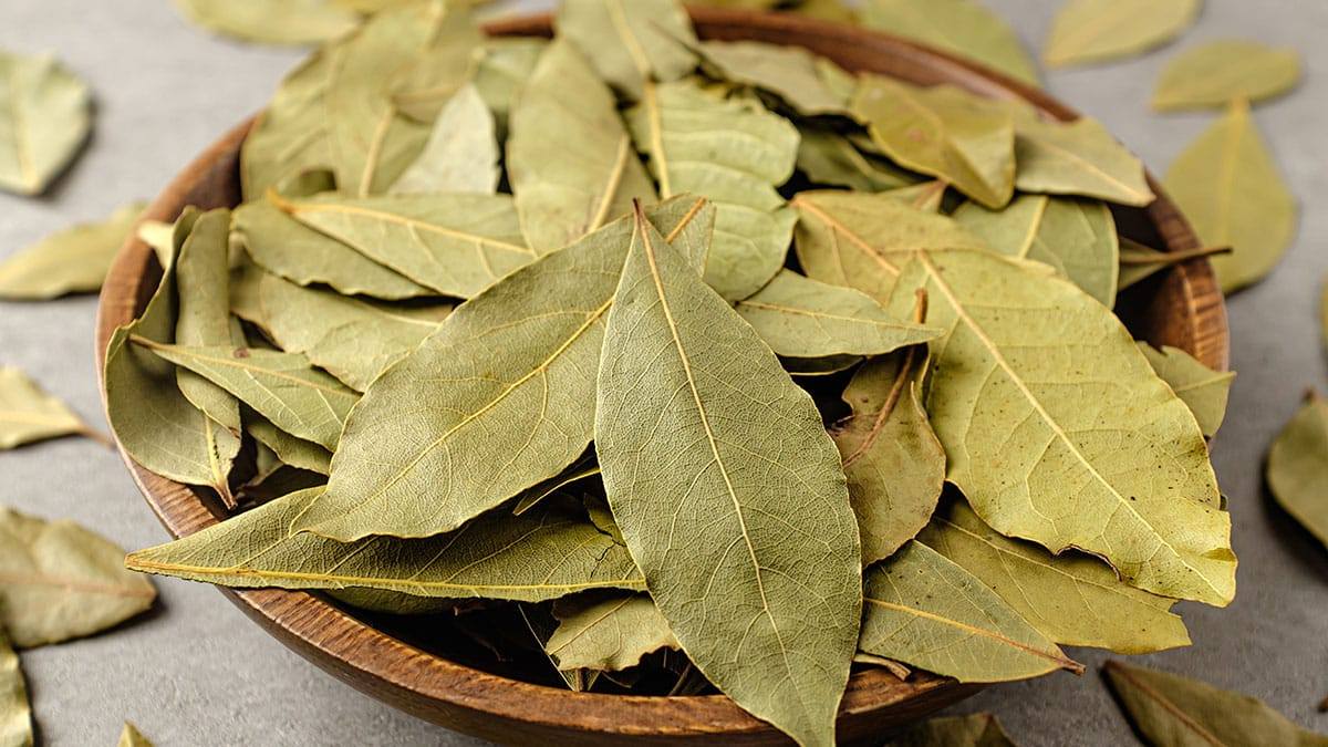 bay-leaf-tea3.jpg