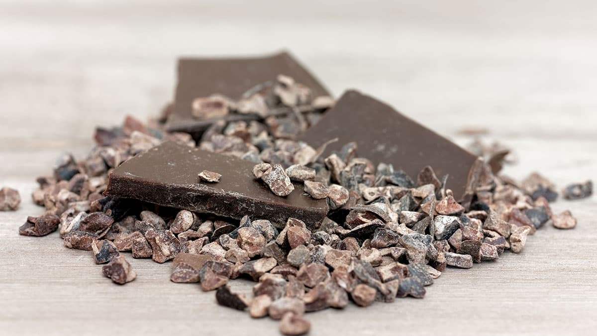 cacao-nibs4.jpg