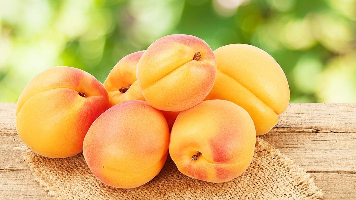 The-Truth-About-Apricots2.jpg