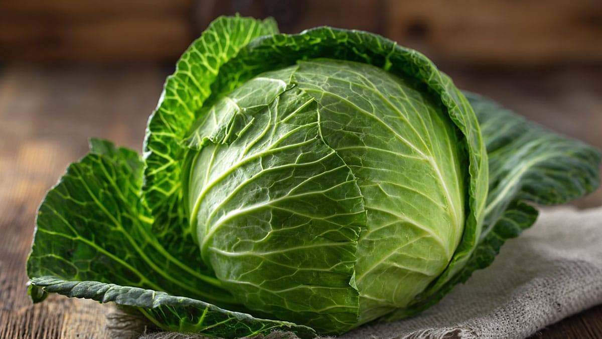 autumn-cabbage-vitamin2.jpg