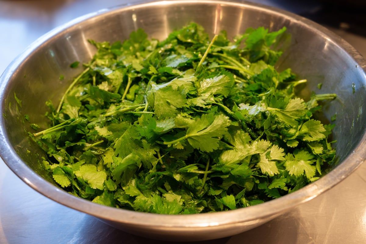 How-to-Use-Coriander1.jpg
