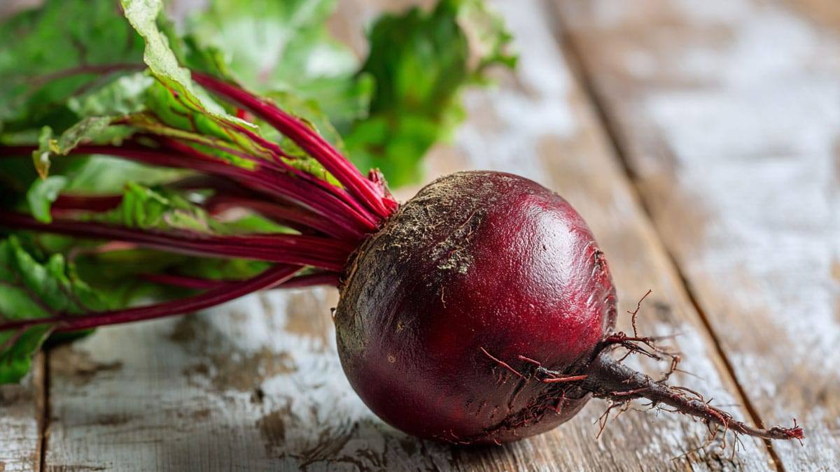 beetroot-juice1.jpg