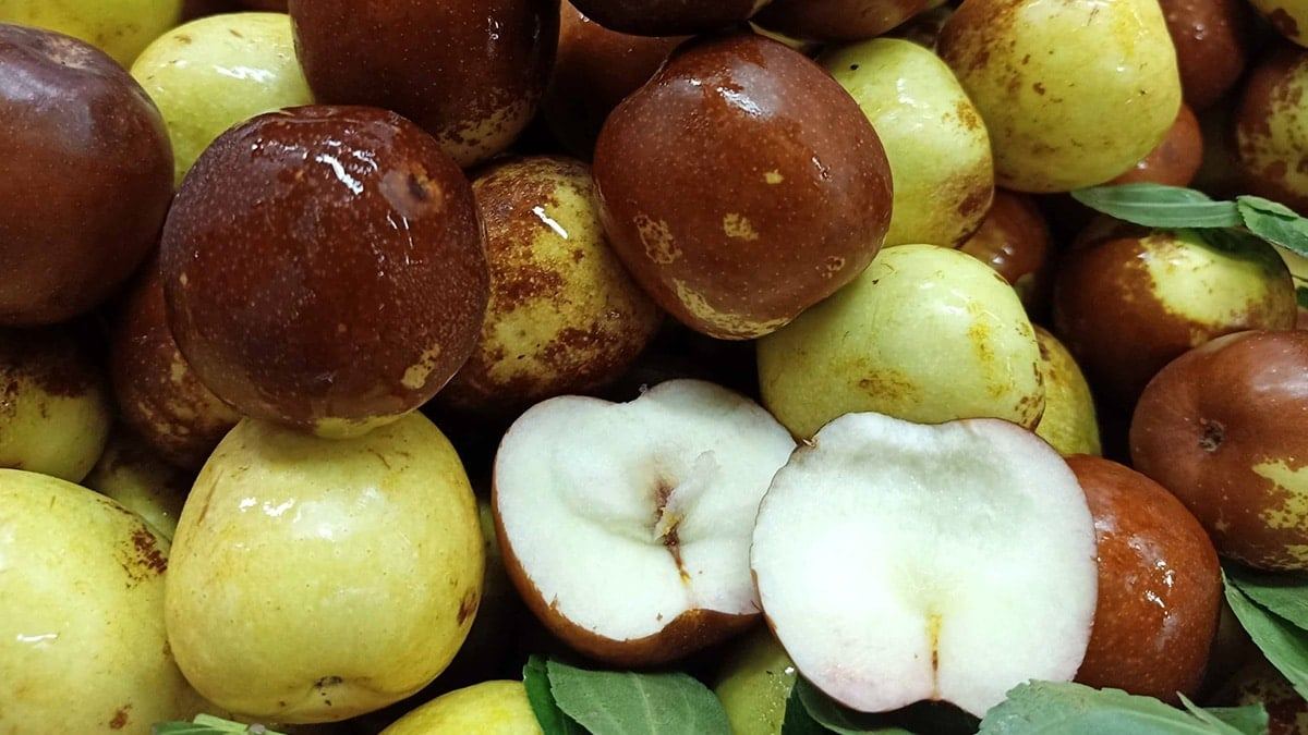 jujube-tree-health-benefits-uses-2.jpg