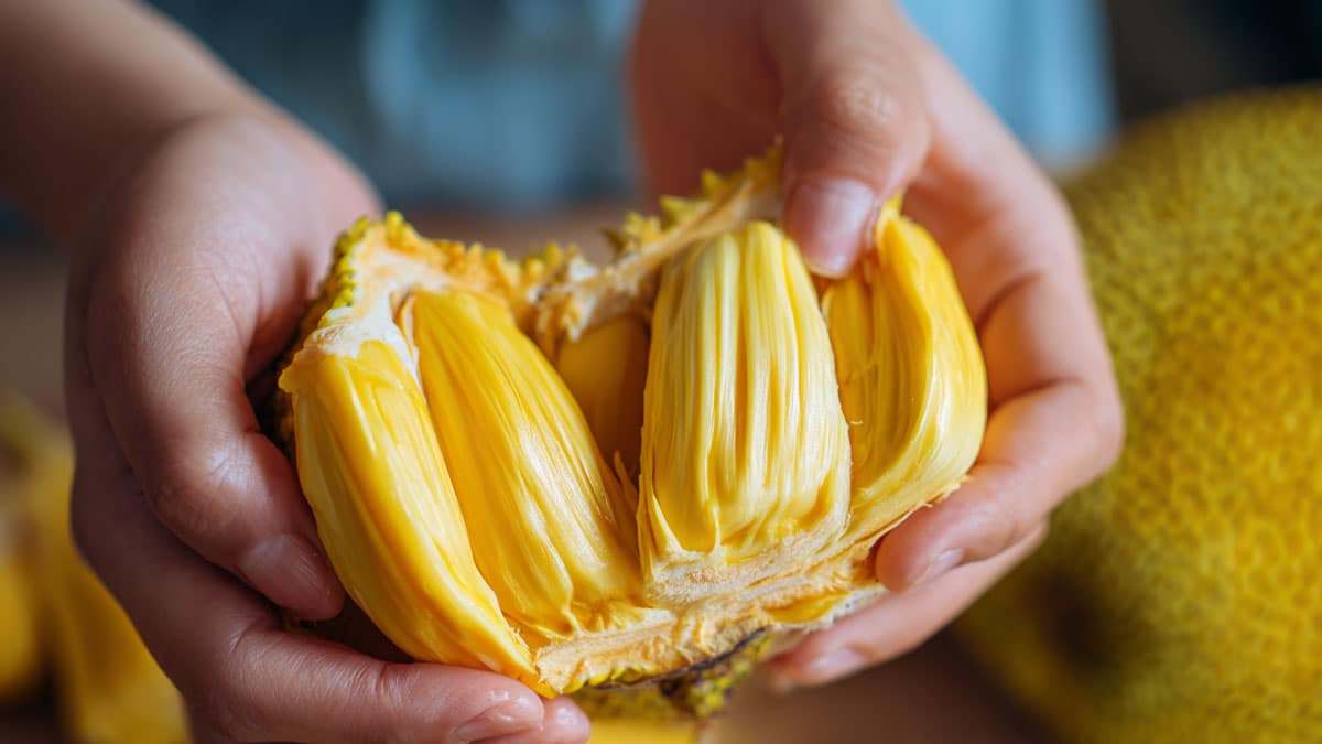 jackfruit5.jpg