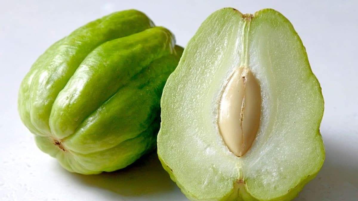 chayote2.jpg
