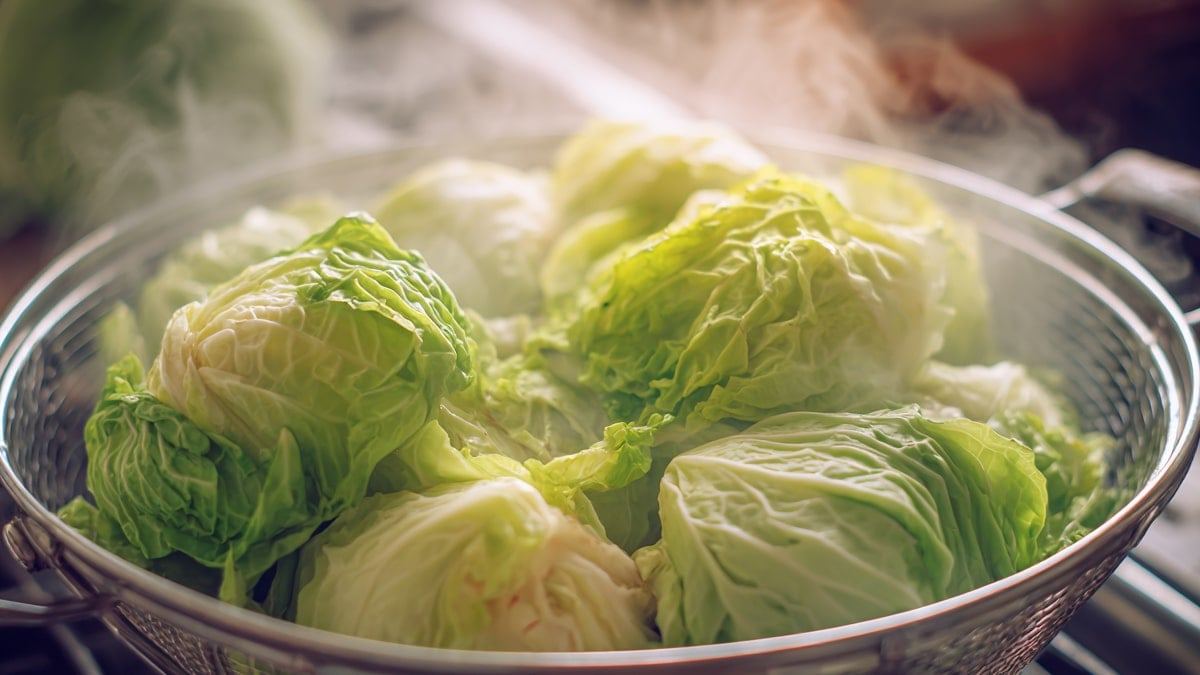 cabbage-washing4.jpg