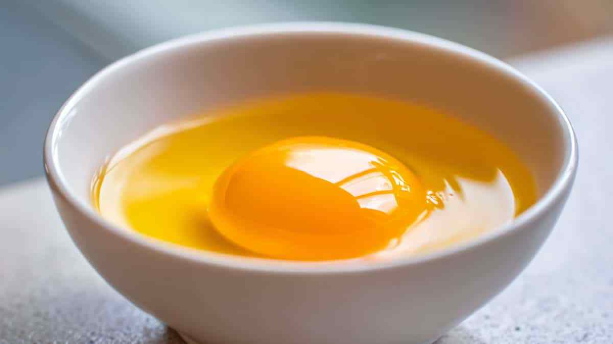 egg-yolk5.jpg