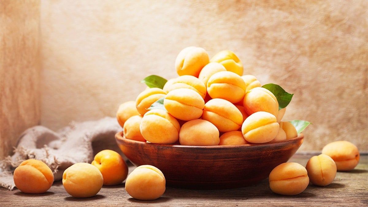 The-Truth-About-Apricots3.jpg