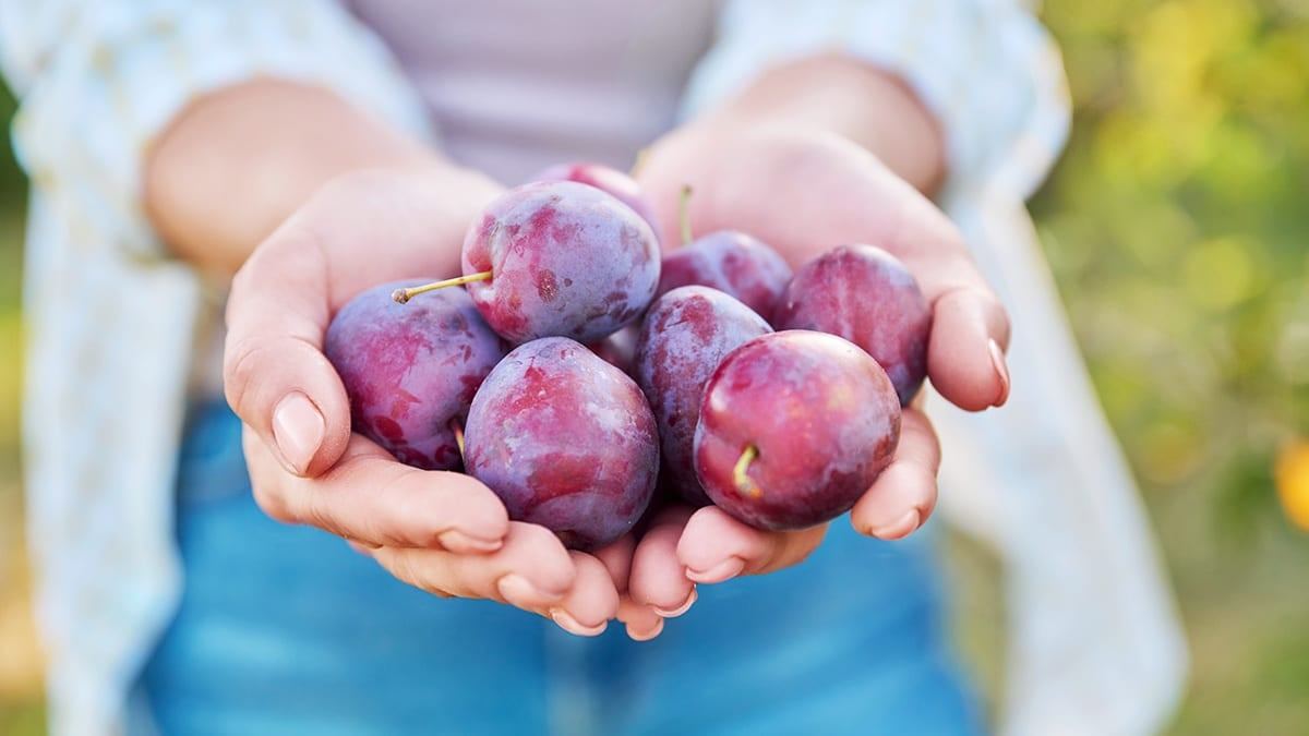 The-Amazing-Benefits-of-Plums1.jpg