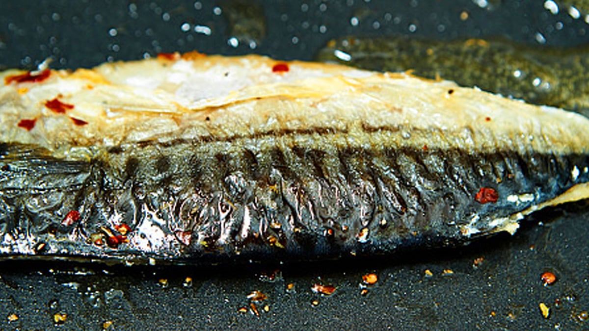 eating-mackerel5.jpg