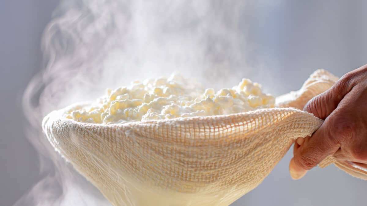 cottage-cheese5.jpg