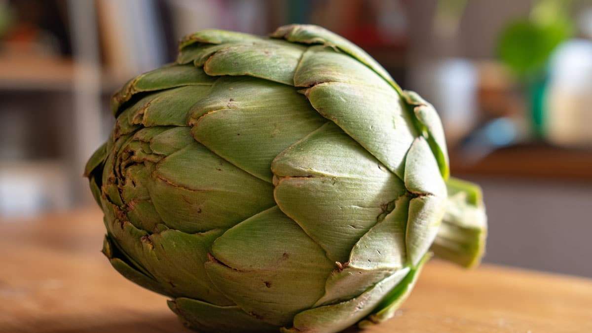 artichoke1.jpg