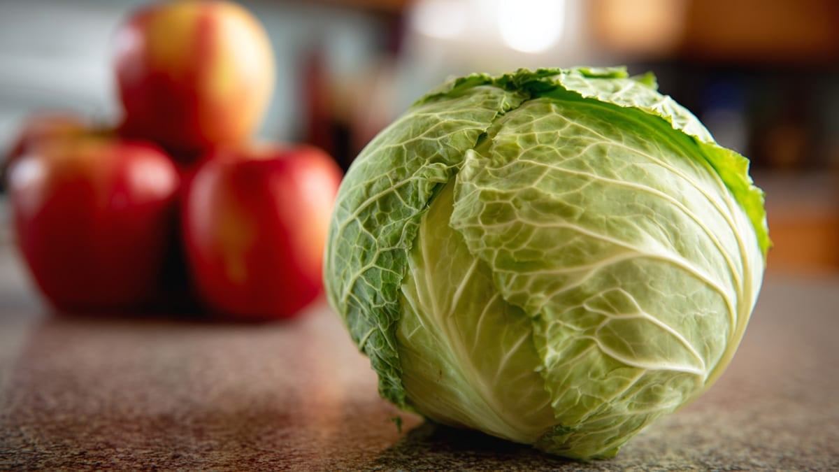 cabbage-3.jpg