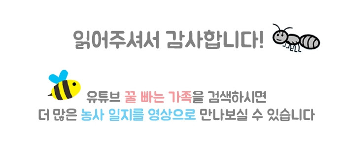 브런치스토리 마무리.jpg