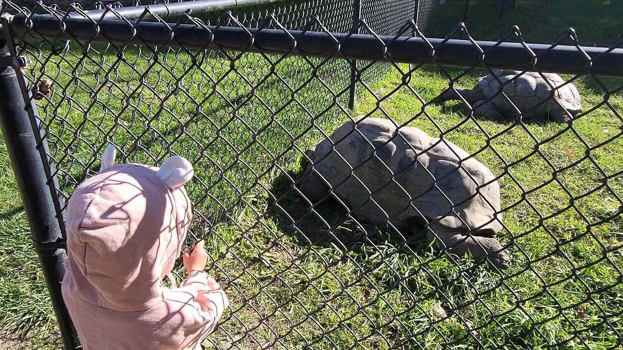 20221119_124250 - frame at 0m1s.jpg