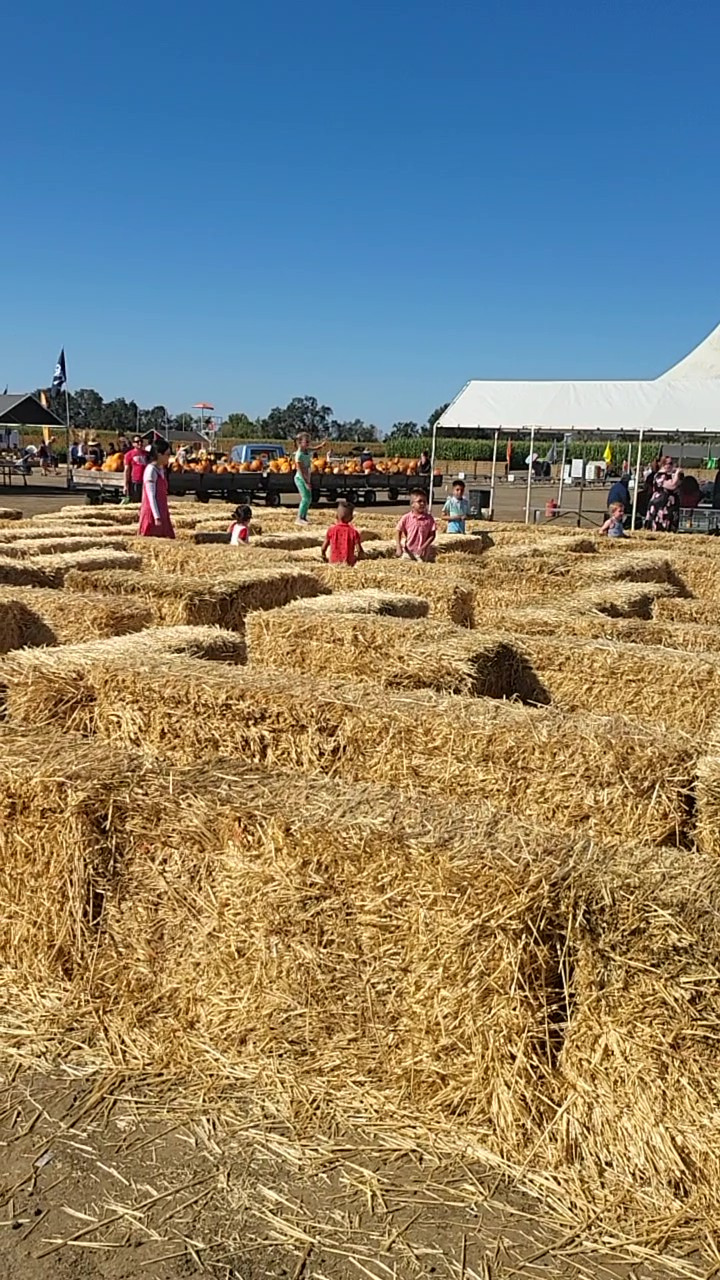 20221009_145809 - frame at 0m7s.jpg