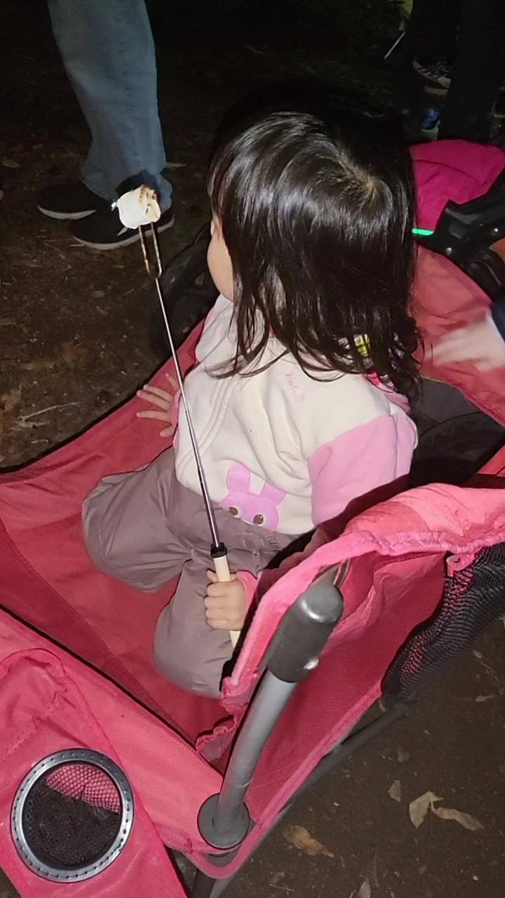 20221111_180702 - frame at 0m2s.jpg