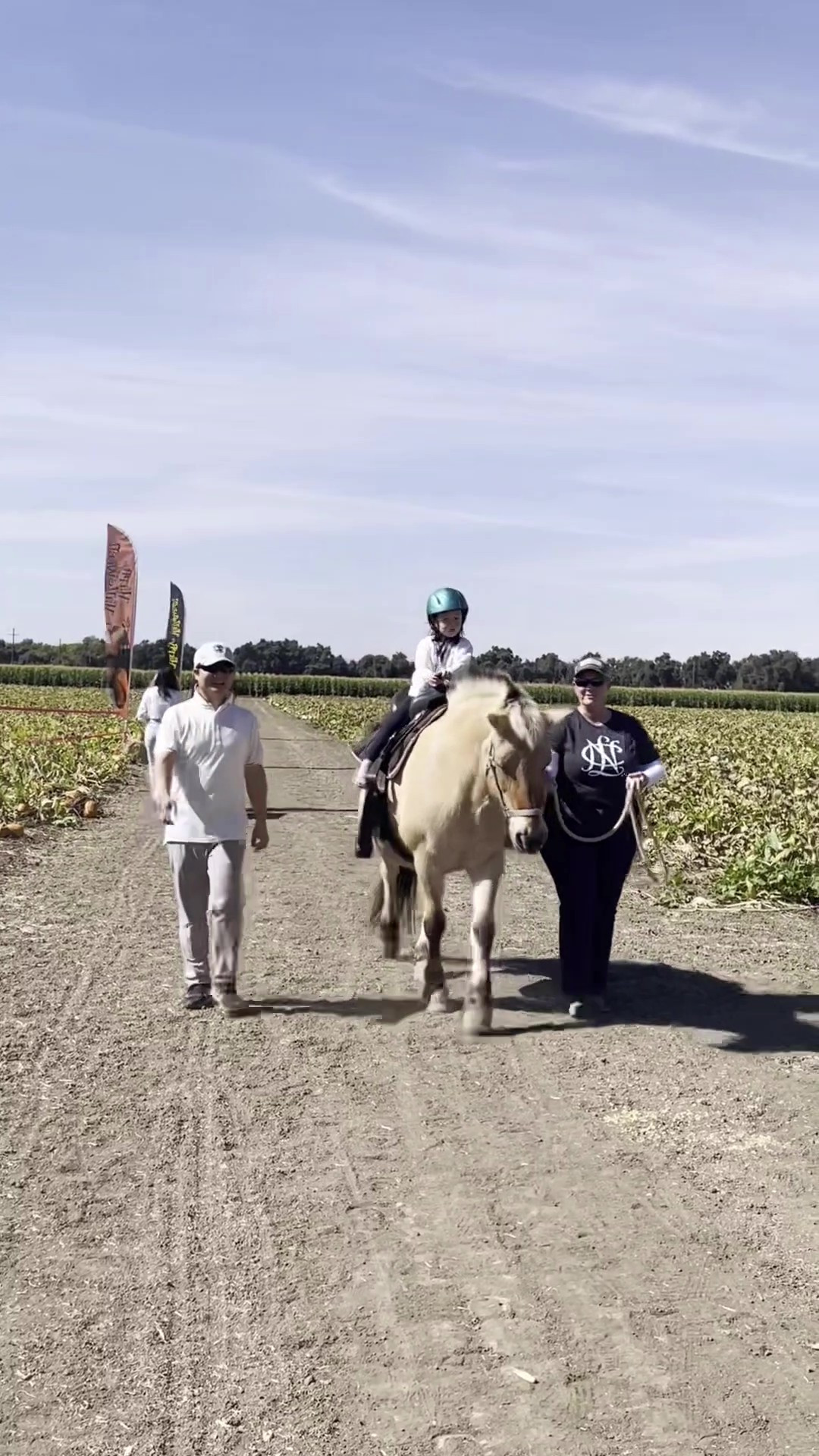 Movie001 (1) - frame at 1m28s.jpg