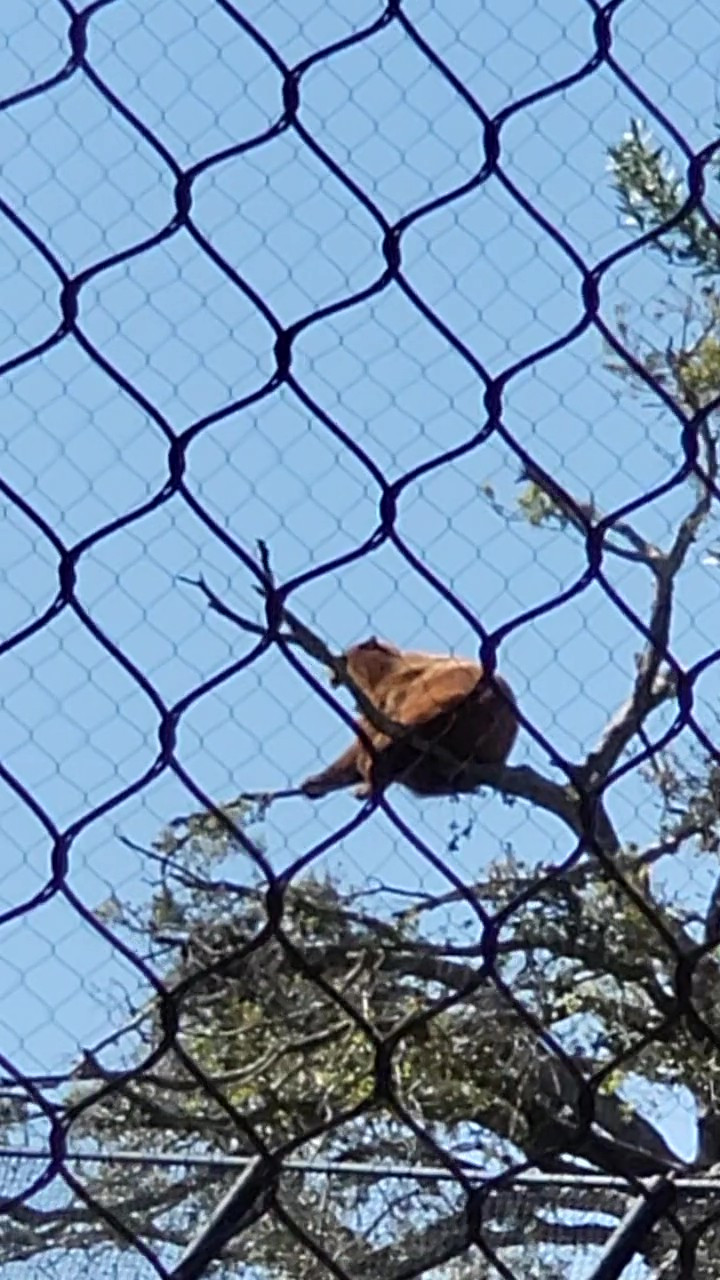 20230325_112431 - frame at 0m1s.jpg