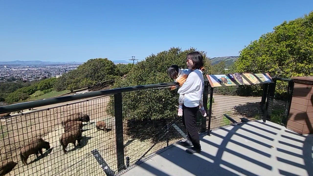 20230325_122205 - frame at 0m8s.jpg