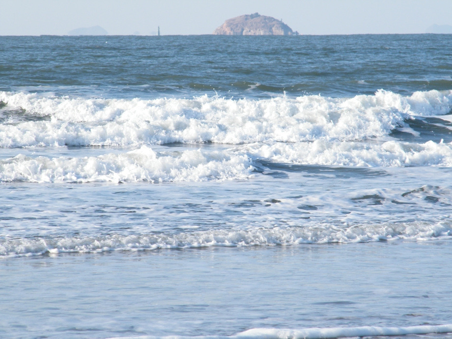 2011태안반도 1977C4594D3CEE5C34.jpg