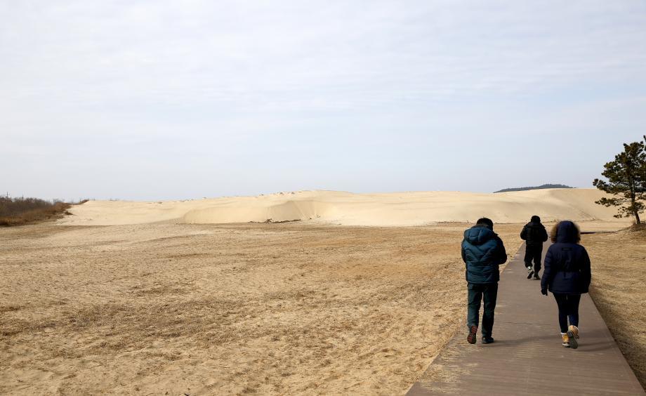 태안반도 신두리해안사구 920_TUCN_201612090613401138.jpg