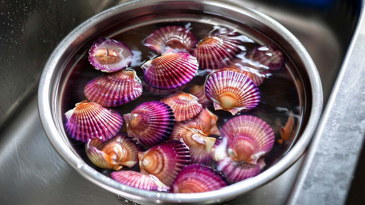 how-to-steam-scallops-for-a-clean-refined-enjoyment-2.jpg
