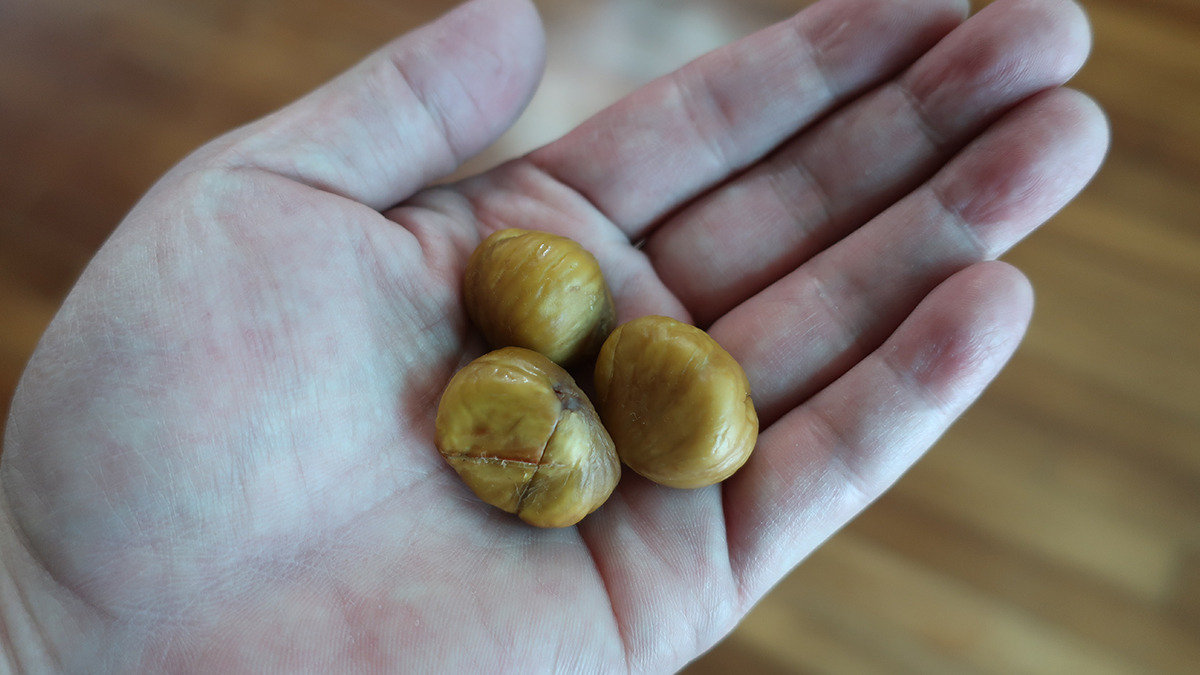 Store-chestnuts-for-a-Long-Time-3.jpg