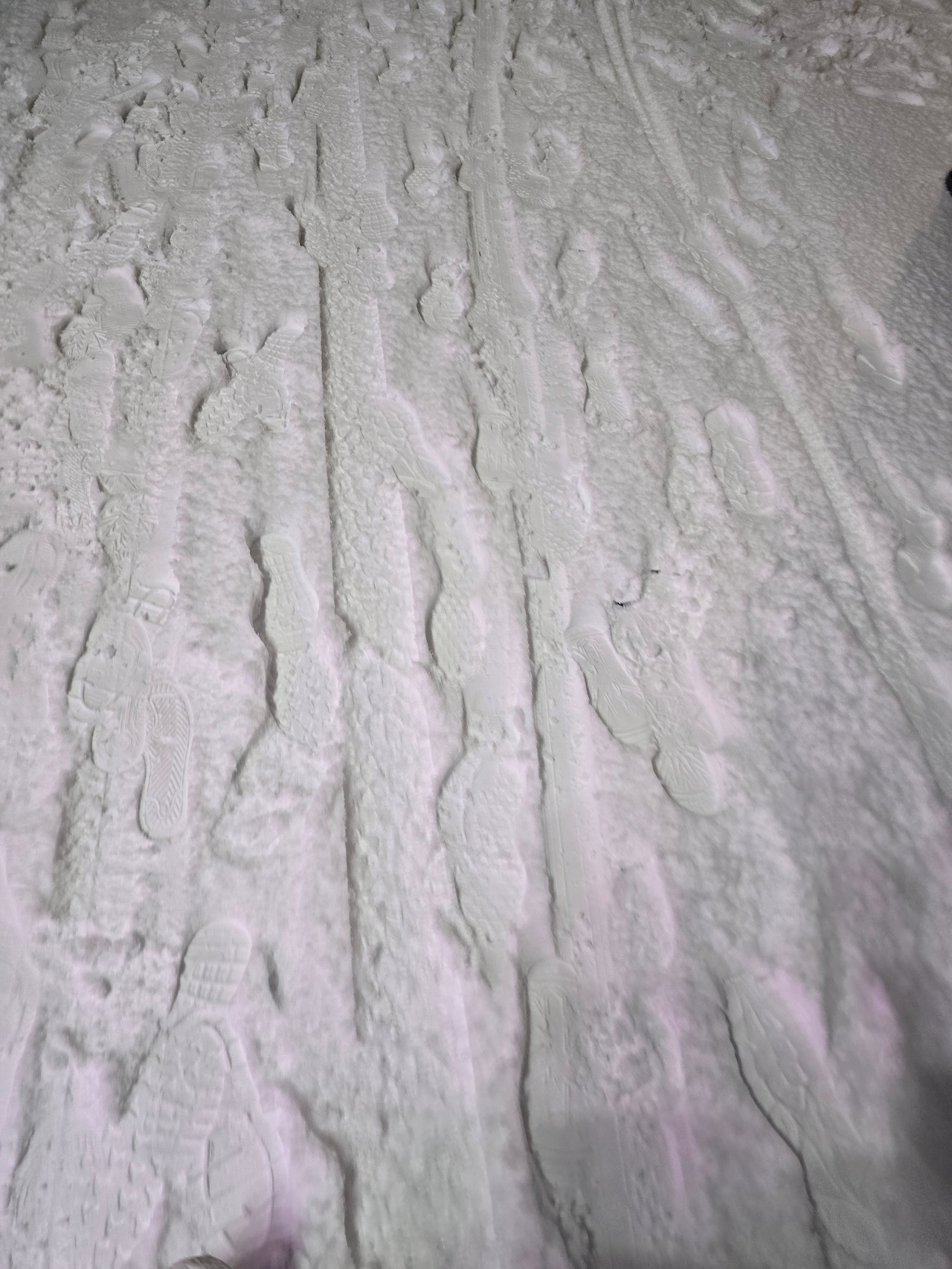 첫눈 발자국.jpg