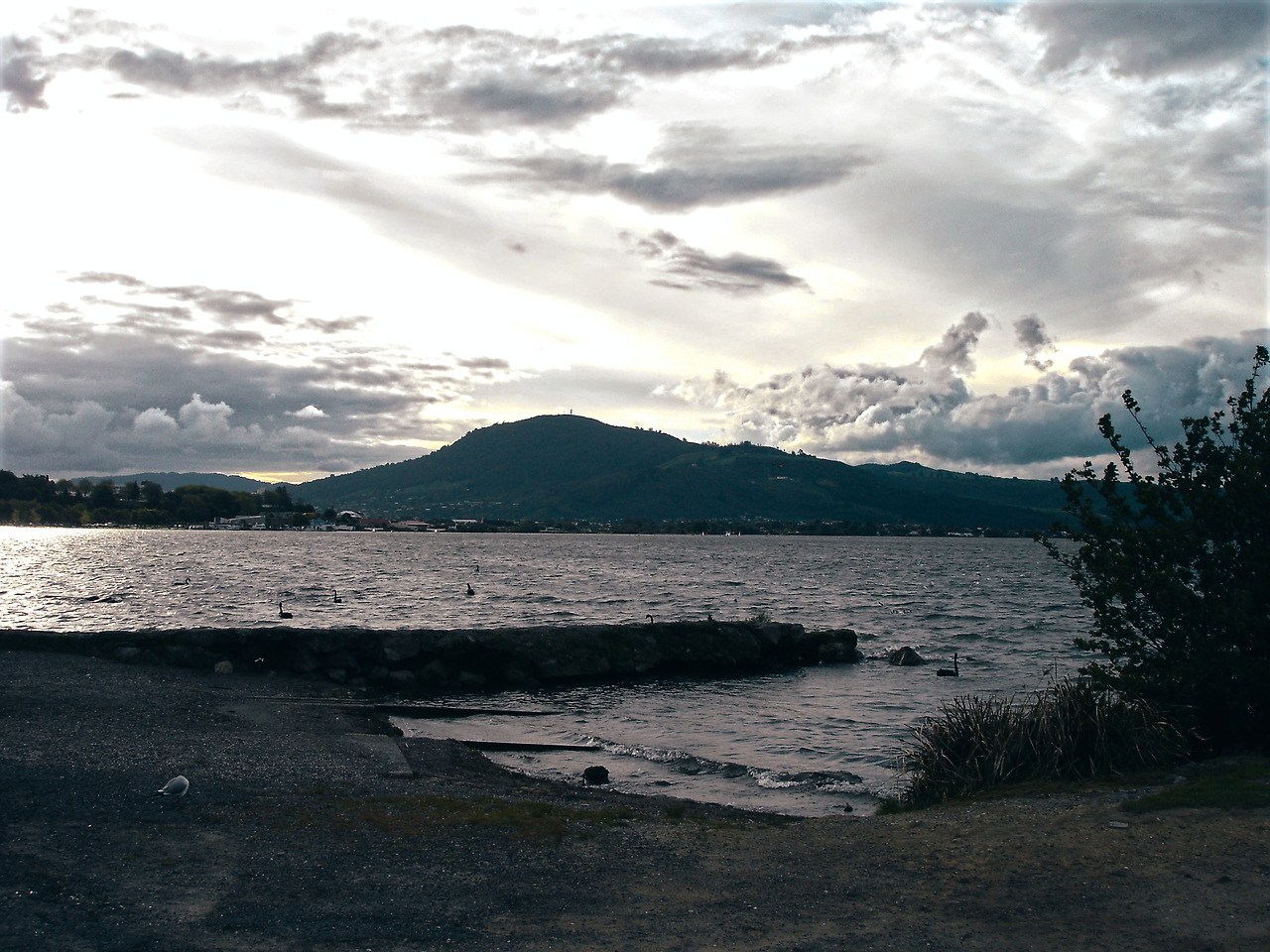 government garden 07 - minuir.jpg