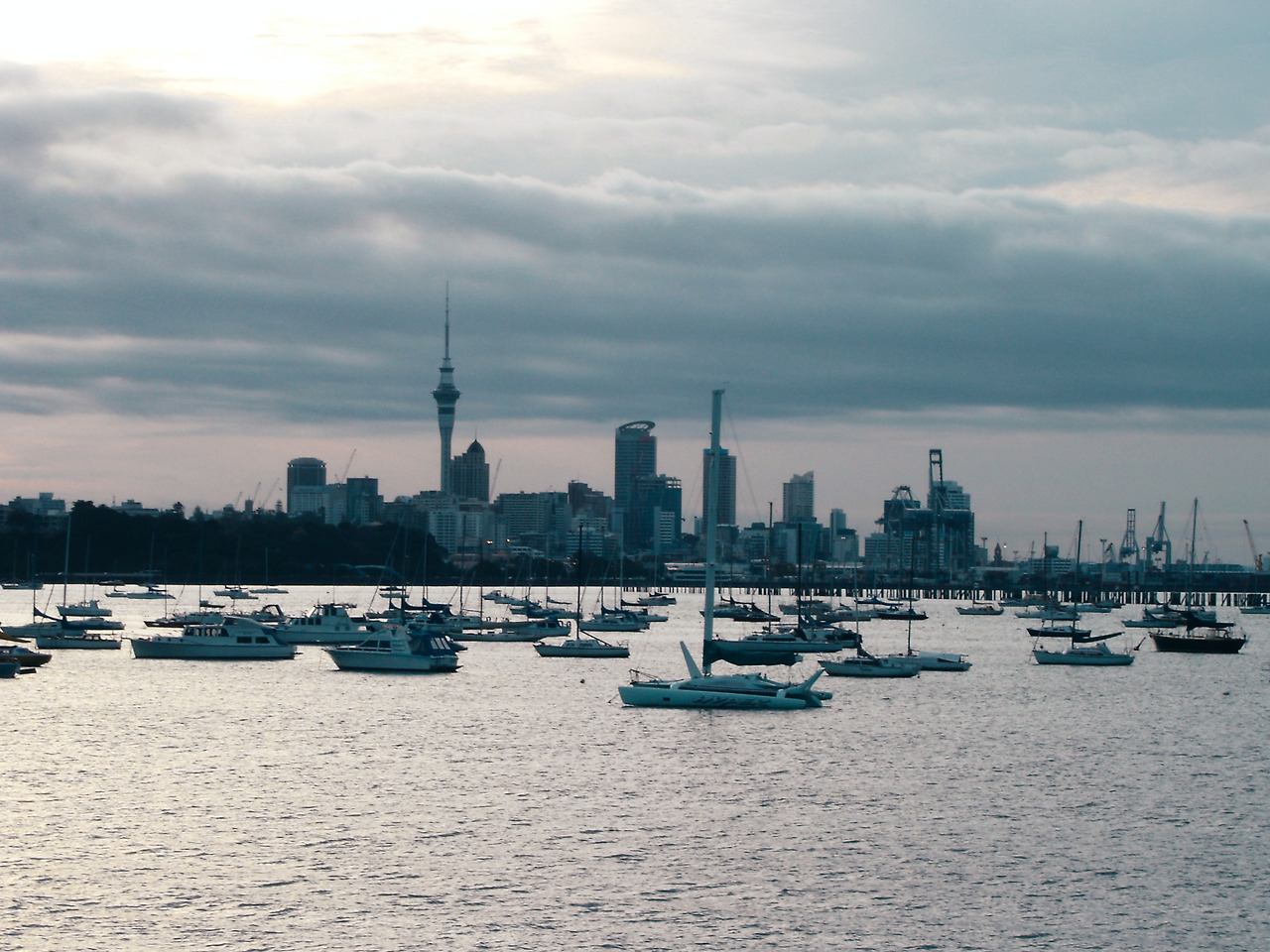 new zealand auckland 01 - minuir.jpg