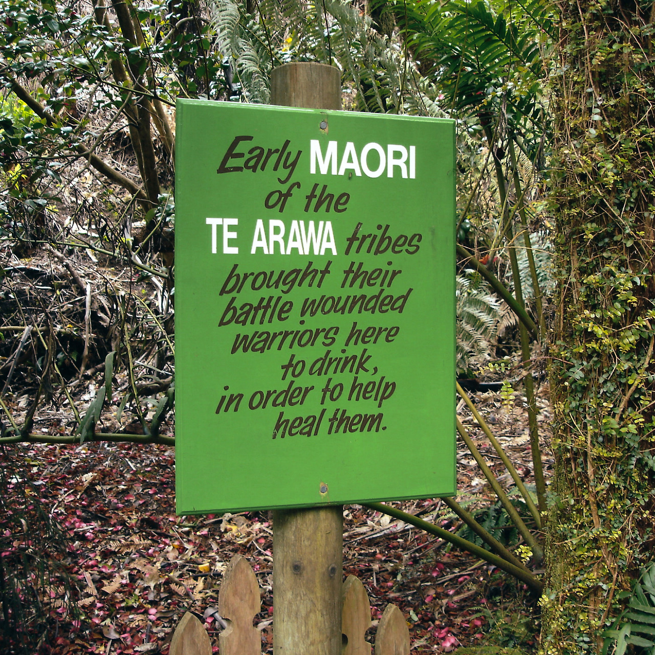 paradise valley springs 04 - minuir.jpg