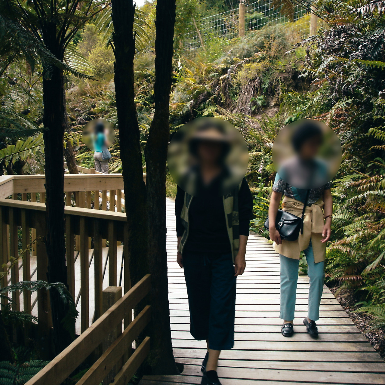 paradise valley springs 02 - minuir.jpg