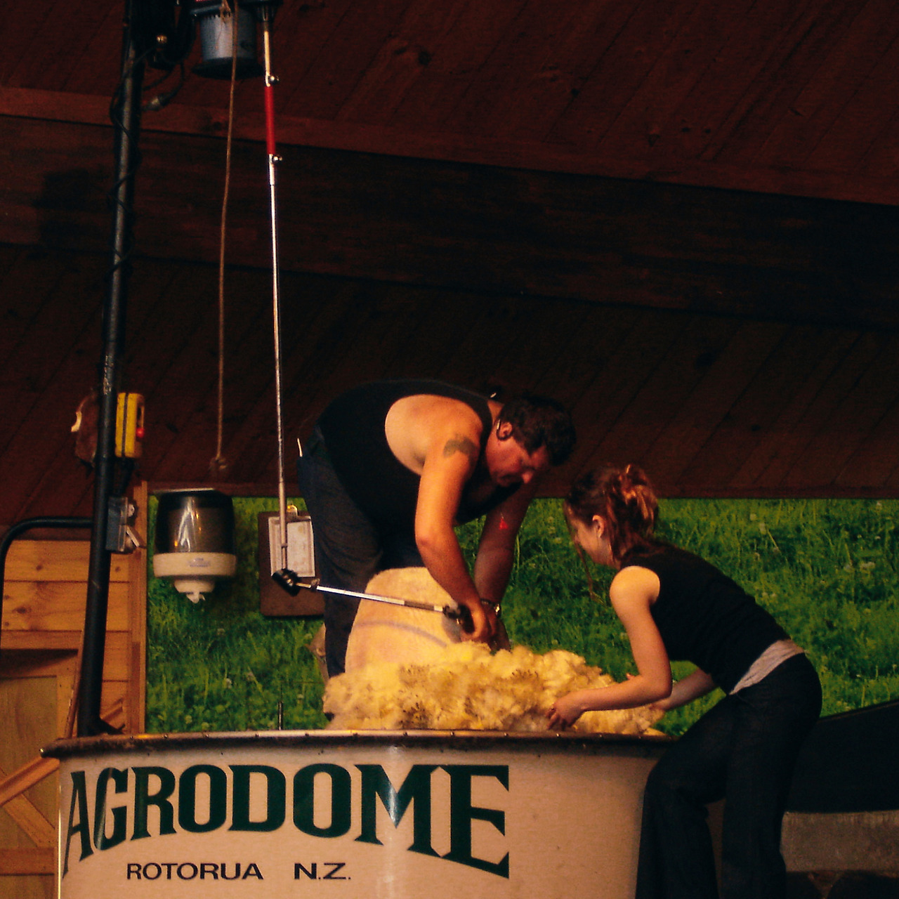 rotorua agrodome 06 - minuir.jpg