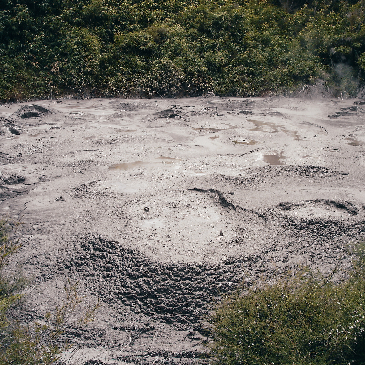 rotorua te puia 05 - minuir.jpg