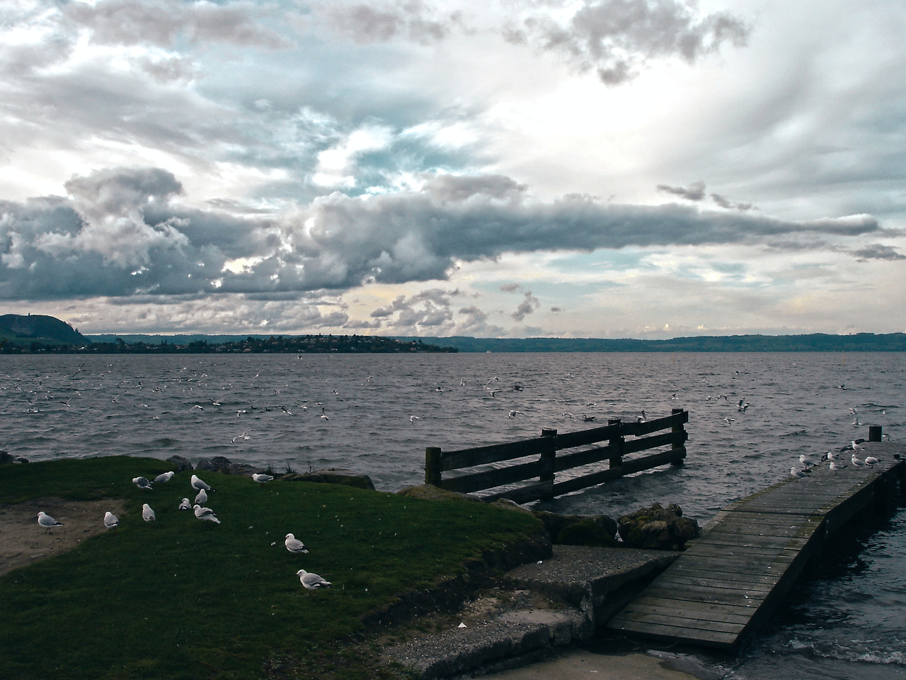 government garden 08 - minuir.jpg