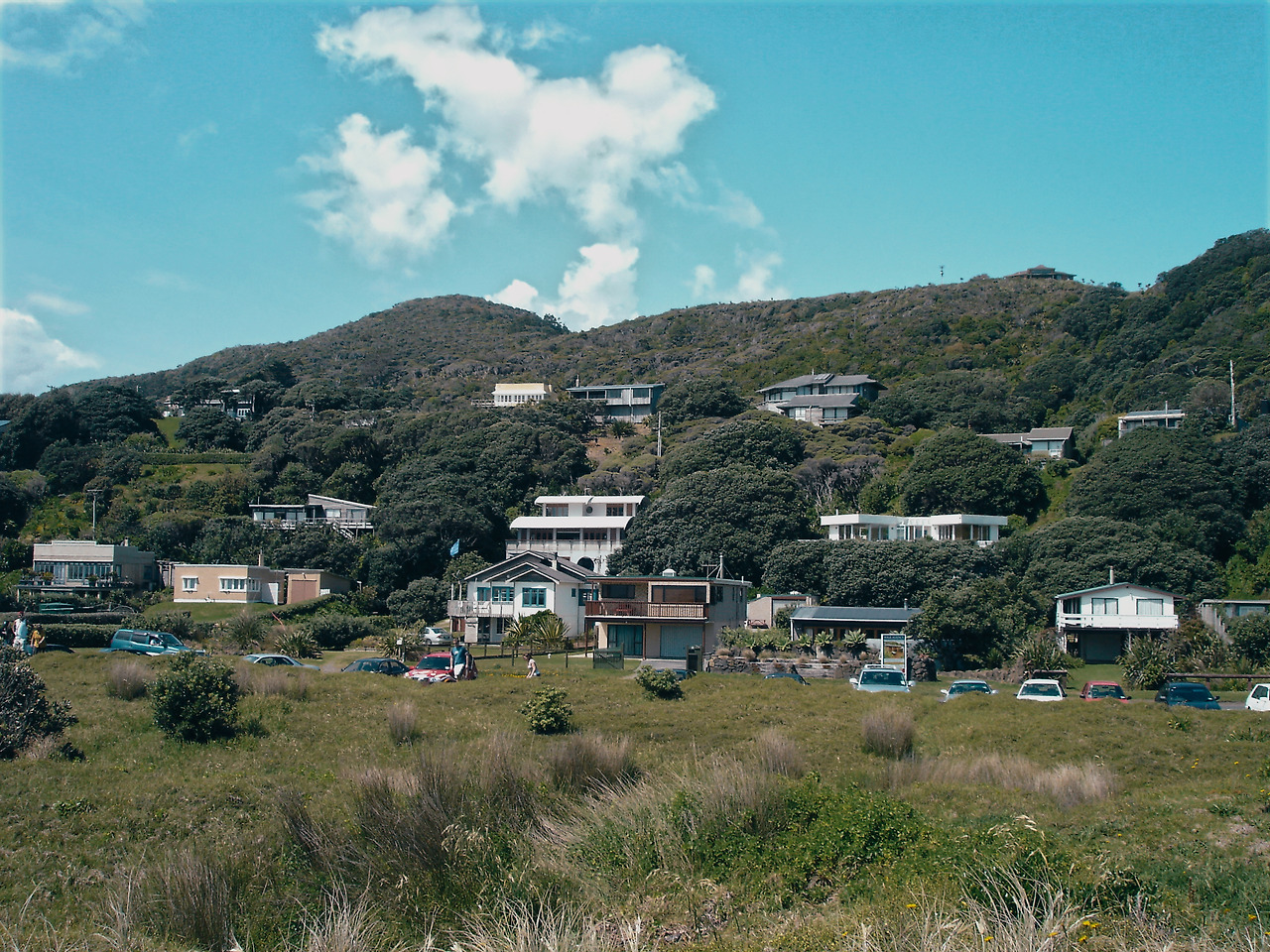 piha beach 04 - minuir.jpg