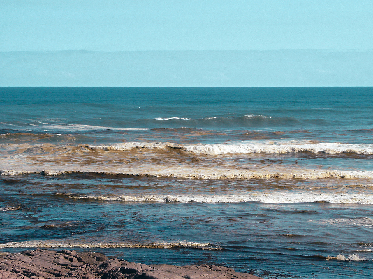 muriwai beach 05 - minuir.jpg