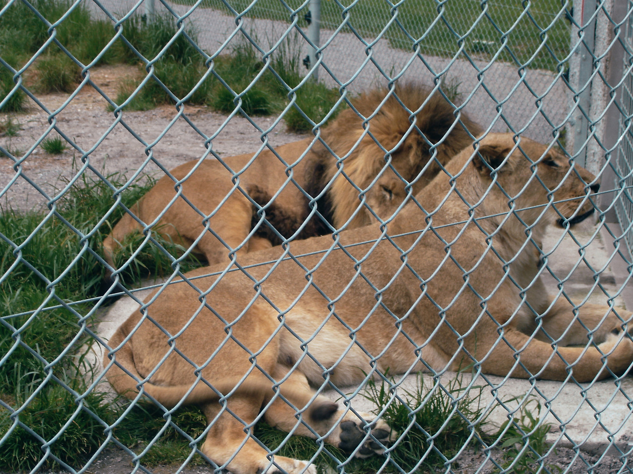 paradise valley springs 07 - minuir.jpg