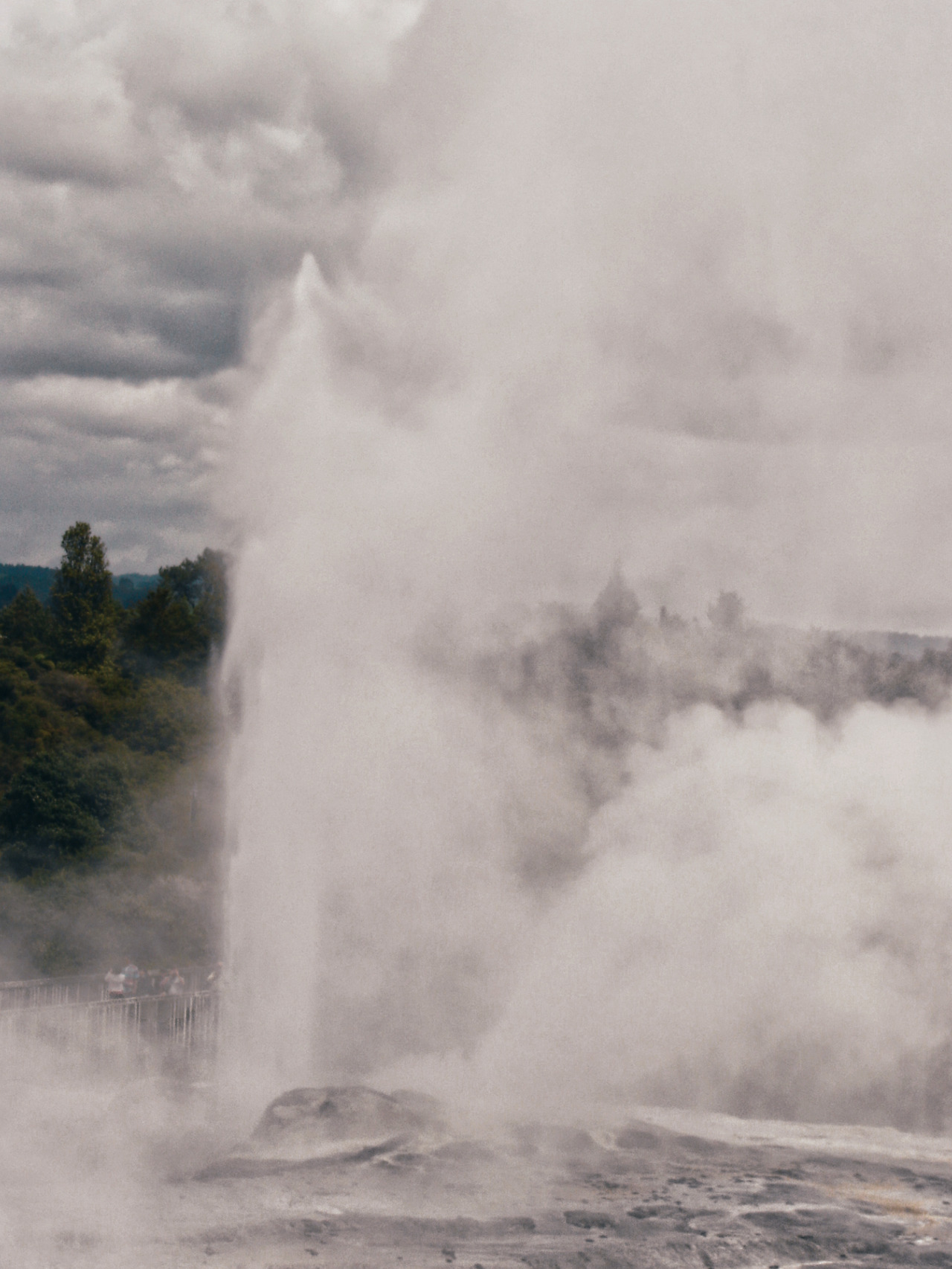 rotorua te puia 09 - minuir.jpg