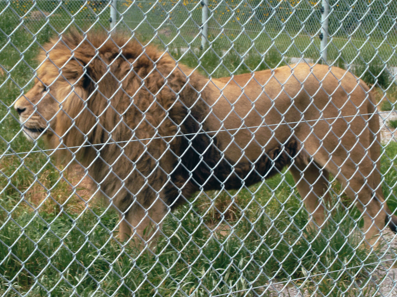 paradise valley springs 08 - minuir.jpg