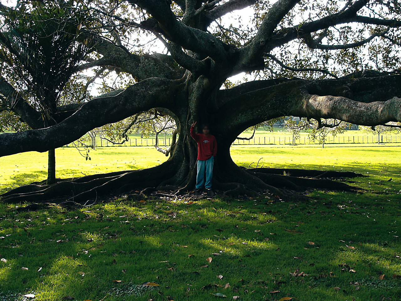 one tree hill 06 - minuir.jpg